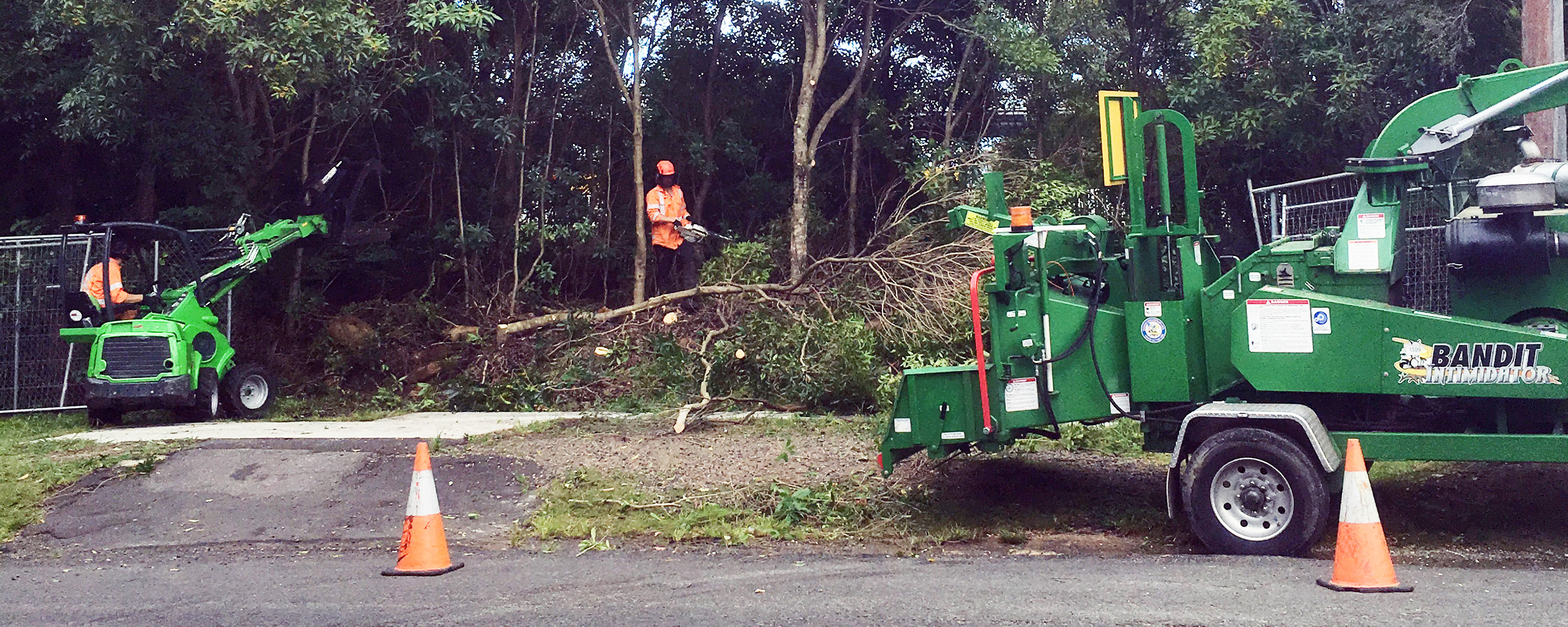 How Much Does Land Clearing Cost and Why Should I Hire an Experienced Arborist?