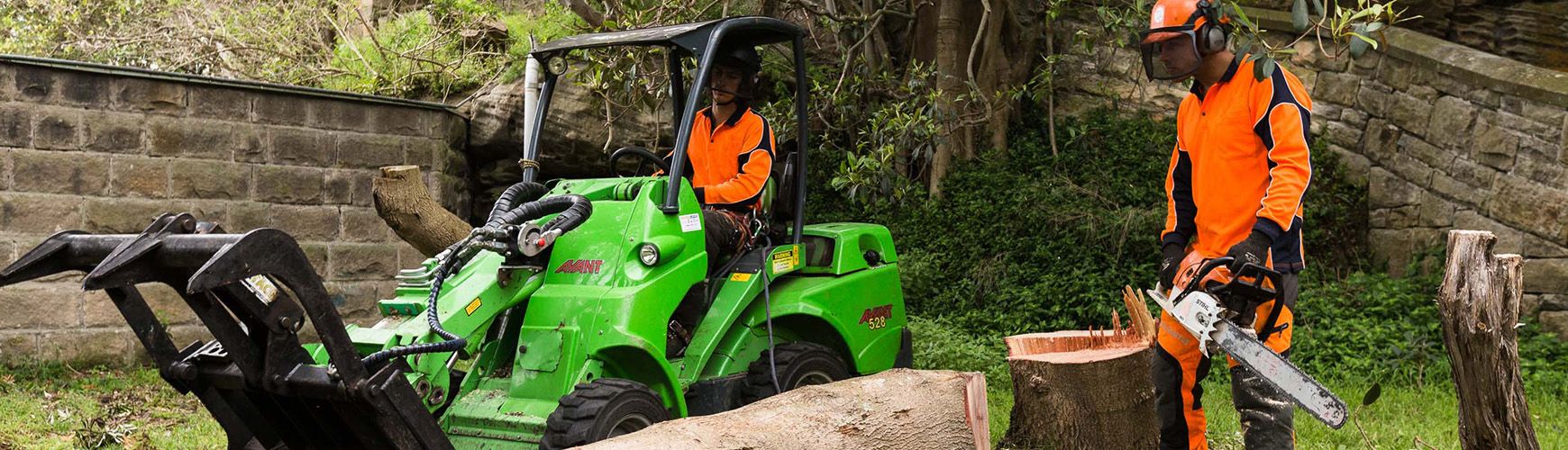 The importance of good quality equipment in tree maintenance