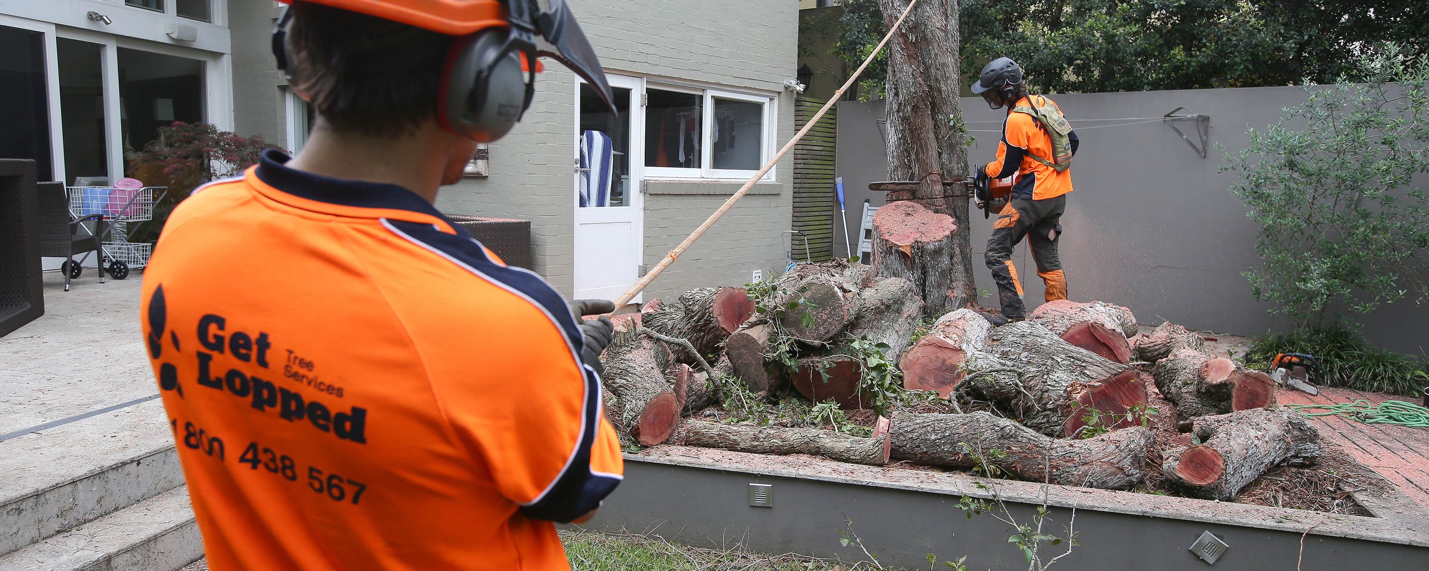 A Guide to Tree Removal Prices in Sydney