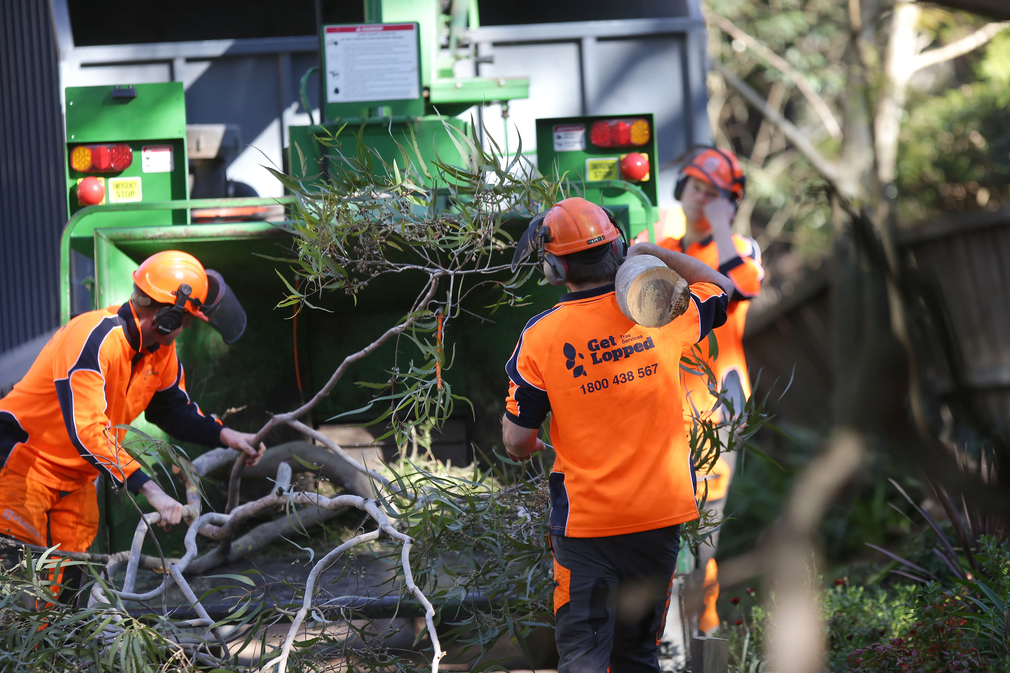 A Quick Guide to Hiring a Quality Tree service Business